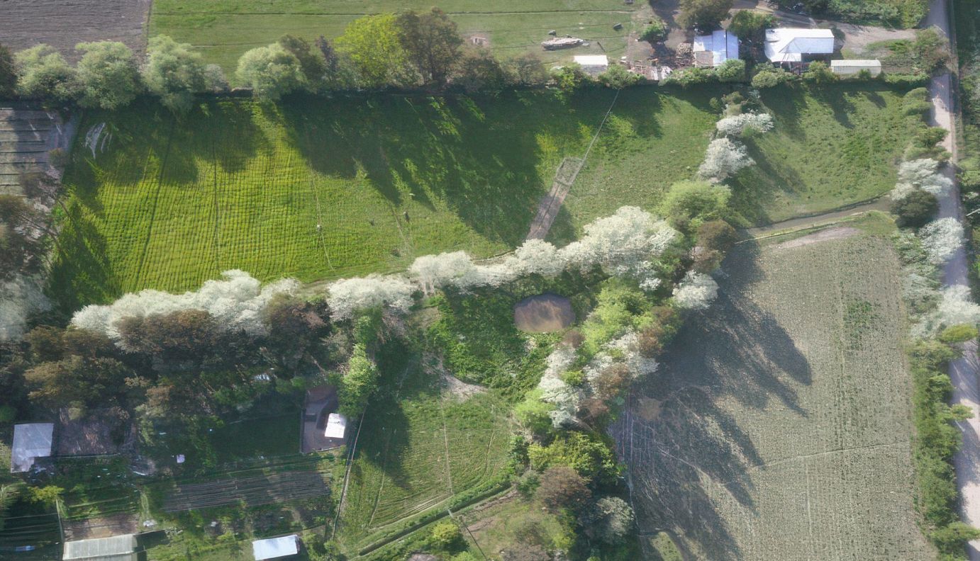 #image99 banner-portada-vidacampesina.jpg